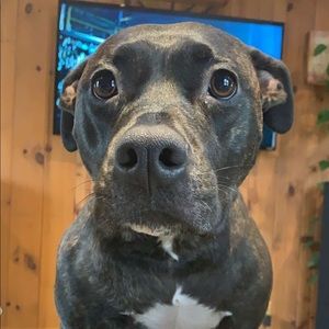 Meet your Posher, Jami